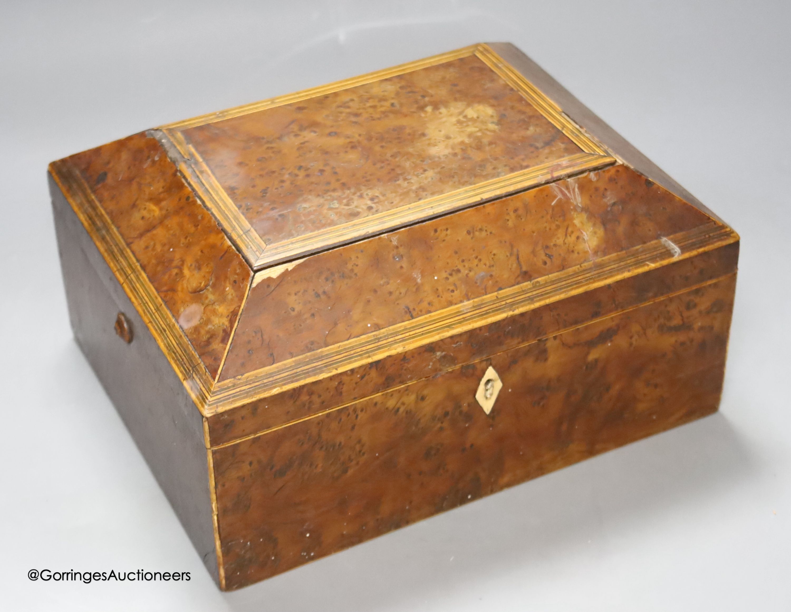 A Regency bird's eye maple work box, 13 cm high, 25 x 20cm and a parquetry box (2)